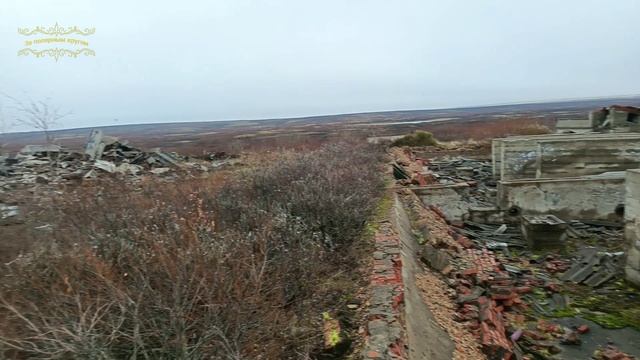 Воркута. 08.10.25. Сообразили на троих))))