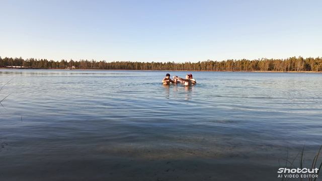 Моржи Муравленко