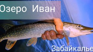 Сбылась мечта!!! Таких Окуней у нас нет!!