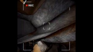 ржака в контент ворнинге