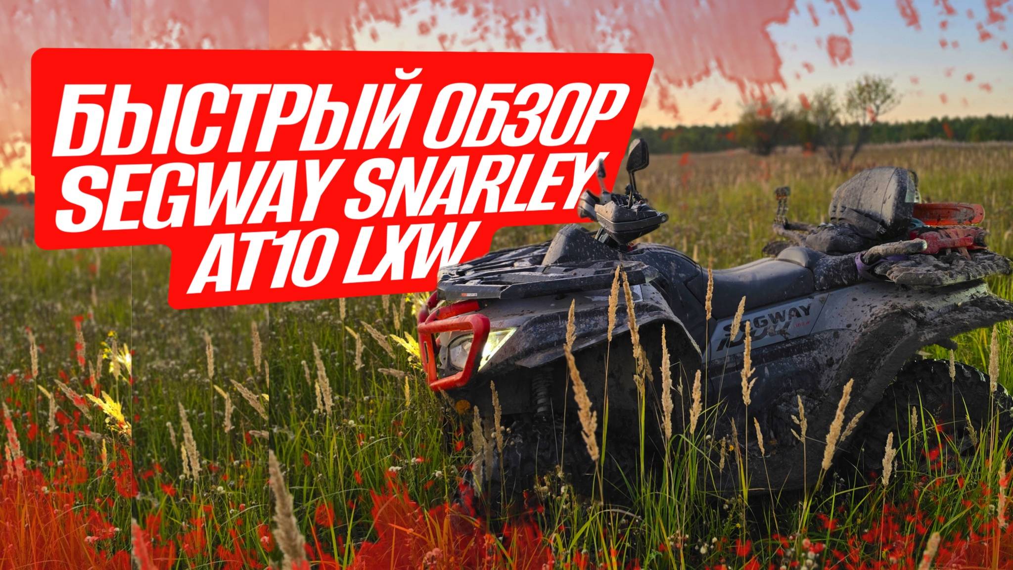 Быстрый обзор Segway Snarley AT 10 LXW