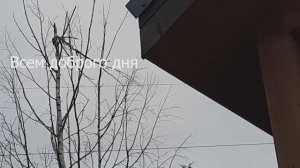 Лесные тропы, окрестные посёлки, утро в деревне.