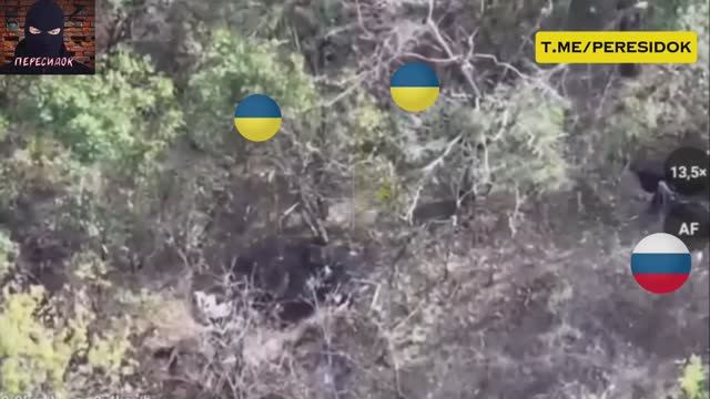 Один против двоих