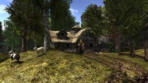 Farm and Nature Theme ｜ Gothic 2 ｜ Music and Ambience World