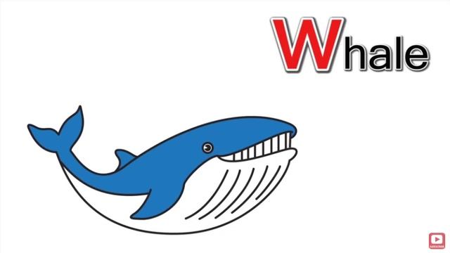 W- Letter