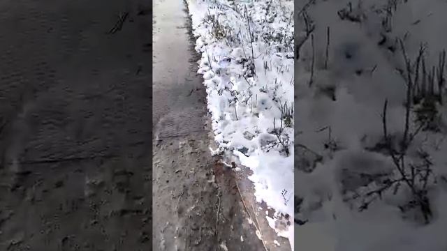 Вечер добрый всем ✌️