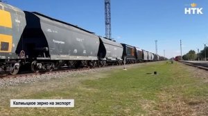 Калмыцкое зерно на экспорт