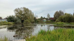 Участок на Первой линии пруда | СНТ Урожай - 120 км. от Москвы и рядом с ж/д Конаковский Мох