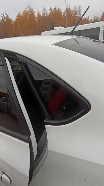 VID_20251009_152944