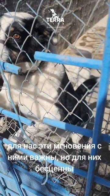 они для нас страницы жизни  а мы для них и есть вся жизнь