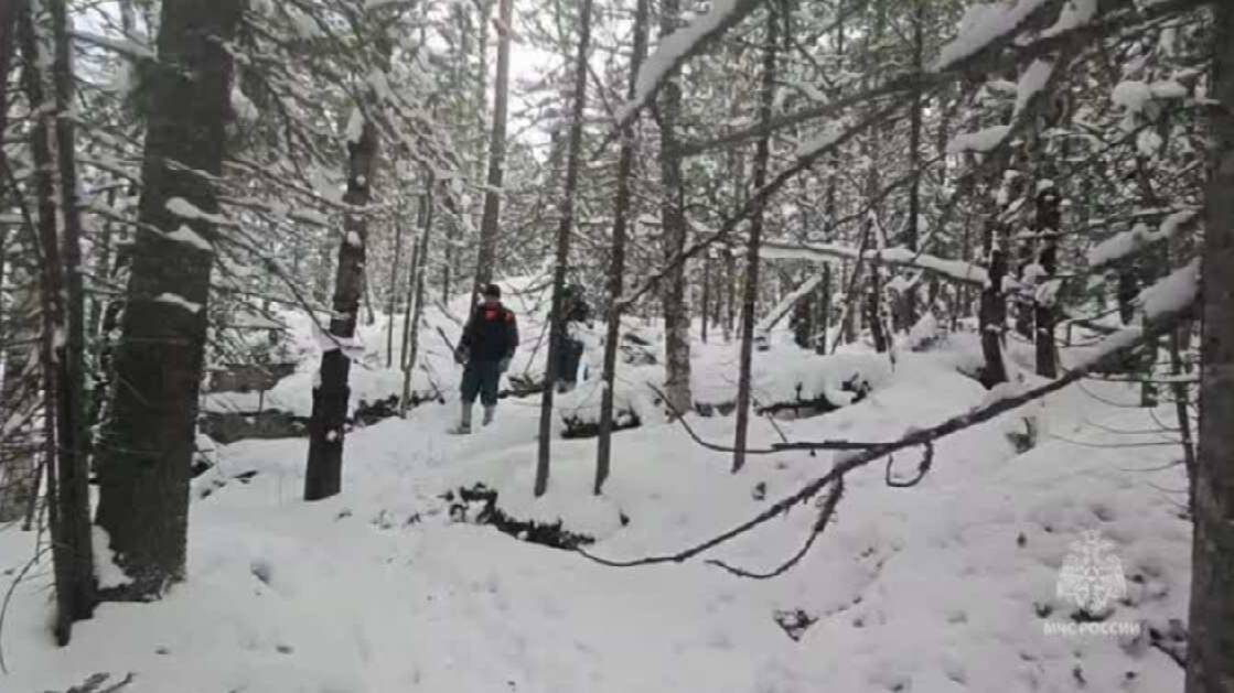 Сотни людей продолжают искать пропавшую в тайге семью