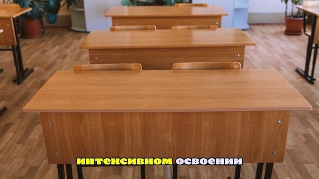 Минпросвещения установило Cрок получения начального образования в России