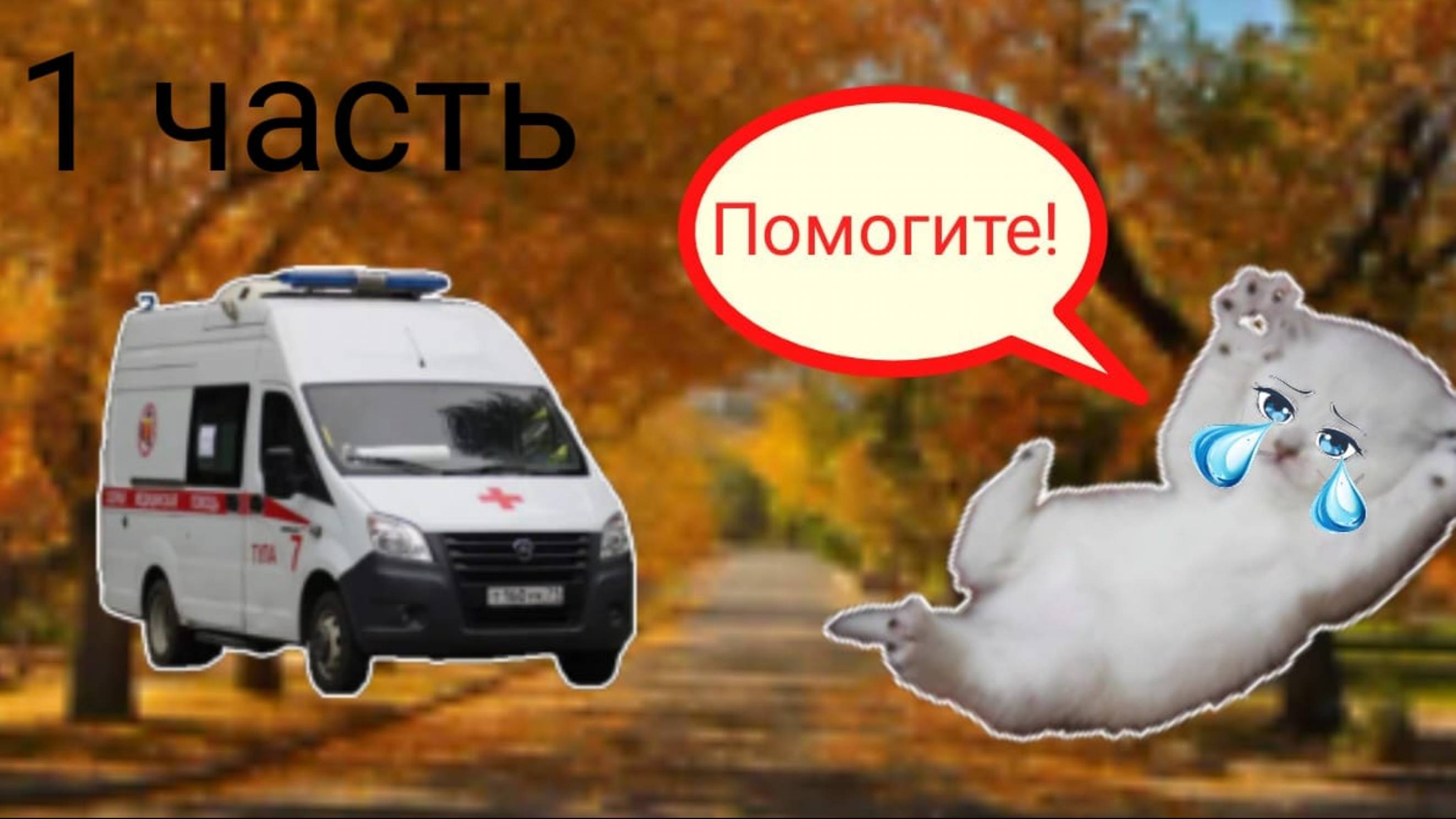 Венда СЛОМАЛА ЛАПКУ?! ОНА УПАЛА! котёнок в опасности! 1 серия