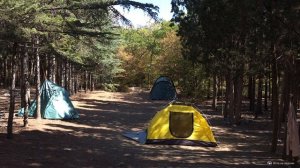 Одно из лучших мест Ялты под палатку: кемпинг в кипарисовой роще Кастрополя