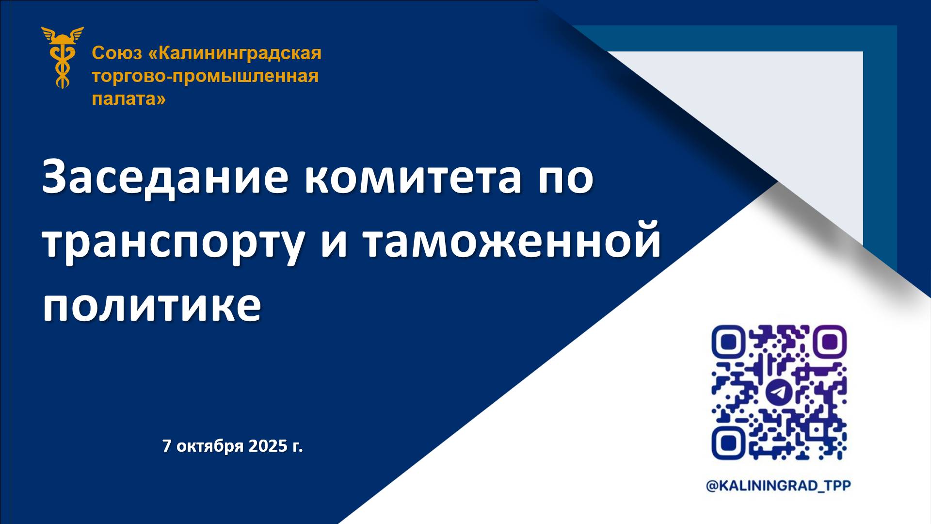 071025 Заседание Комитета по транспорту и таможенной политике от 07.10.2025г.