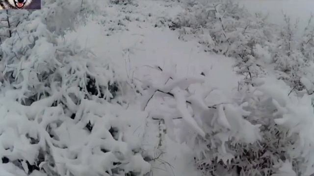 охота на шакала, супер охота