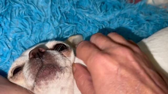 Всем наидобрейшего утречка и чудесной субботы.