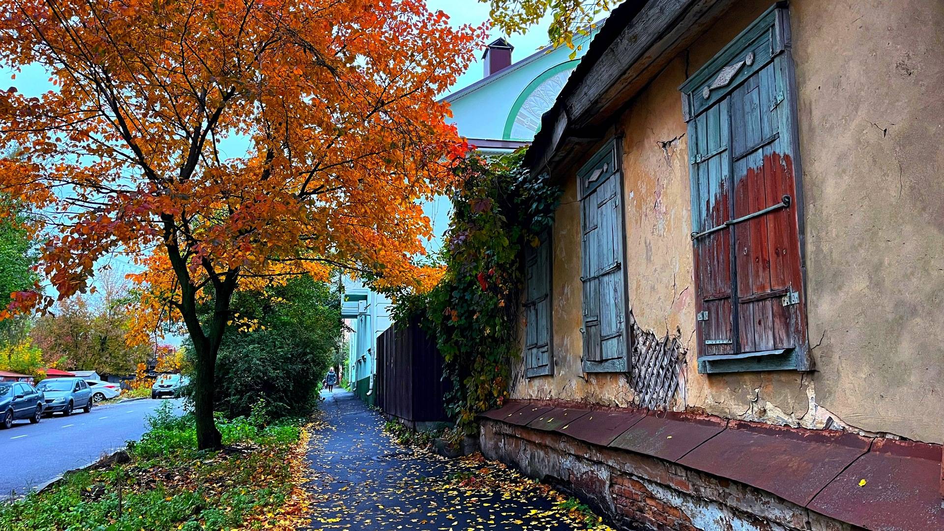 Осенние краски. Курск.