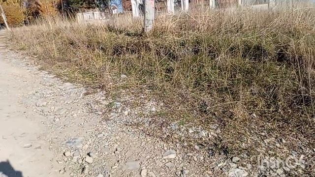 Настряпала шаньги с картошкой.Сходила насобирал шиповник.