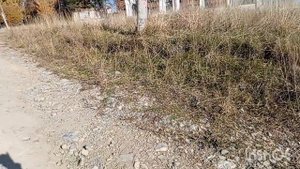 Настряпала шаньги с картошкой.Сходила насобирал шиповник.