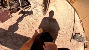 Пополнение на хуторе ! Новые жители ! ХУТОР В ЛЕСУ №828