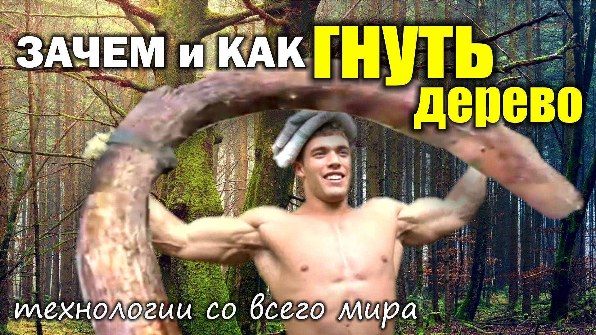 Гнутое дерево