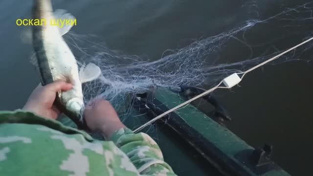 Рыбалка. Проверка сети. Судаккарась. Рыбные места.