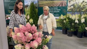 АППМ. Фестиваль исторических садов в Царицыне. ОБЗОР ВЫСТАВОК. Обзор фестиваля.