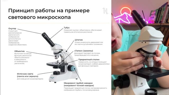 Микроскопия ОГЭ