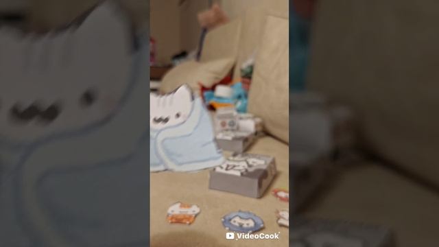 распаковка котиков