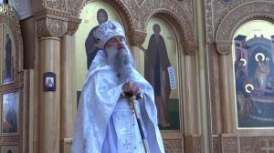 О немилосердном заимодавце