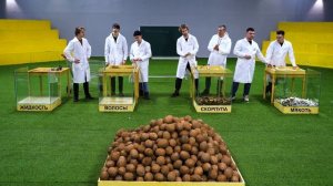 СКОЛЬКО СЛАДКОЙ ВОДИЧКИ В 1000 КОКОСАХ?