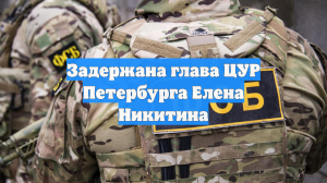 Задержана глава ЦУР Петербурга Елена Никитина
