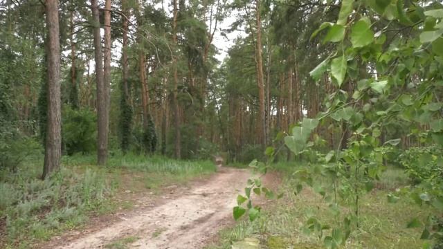Двое полицейских отправлены в тюрьму за мошенничество