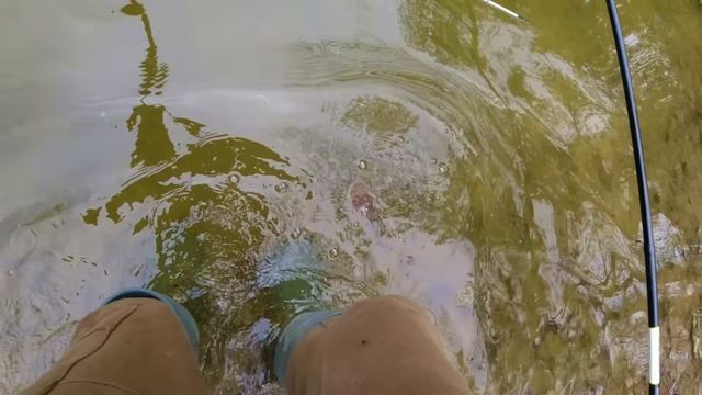 Лучшее ТЕСТО ДЛЯ ХОЛОДНОЙ ВОДЫ. Рыбалка на поплавок осенью.