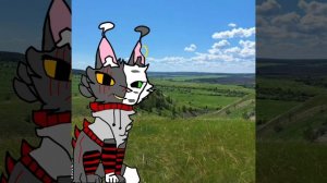 Koты-Boители DARK NIGHT.Приятно познакомиться! 🍃🌿