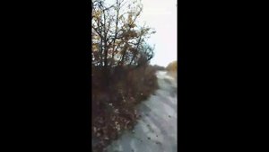 Счастье не в деньгах