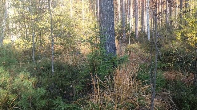 Перемены на пороге