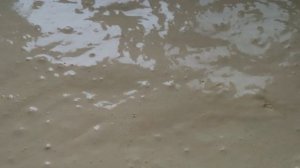 Рулет бисквитный с кремом