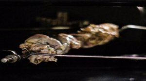 Кролик на гриле