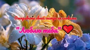 Отправь это сестре. Ты поймешь, почему.