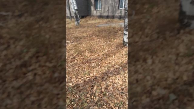 Экскурсия по Зее