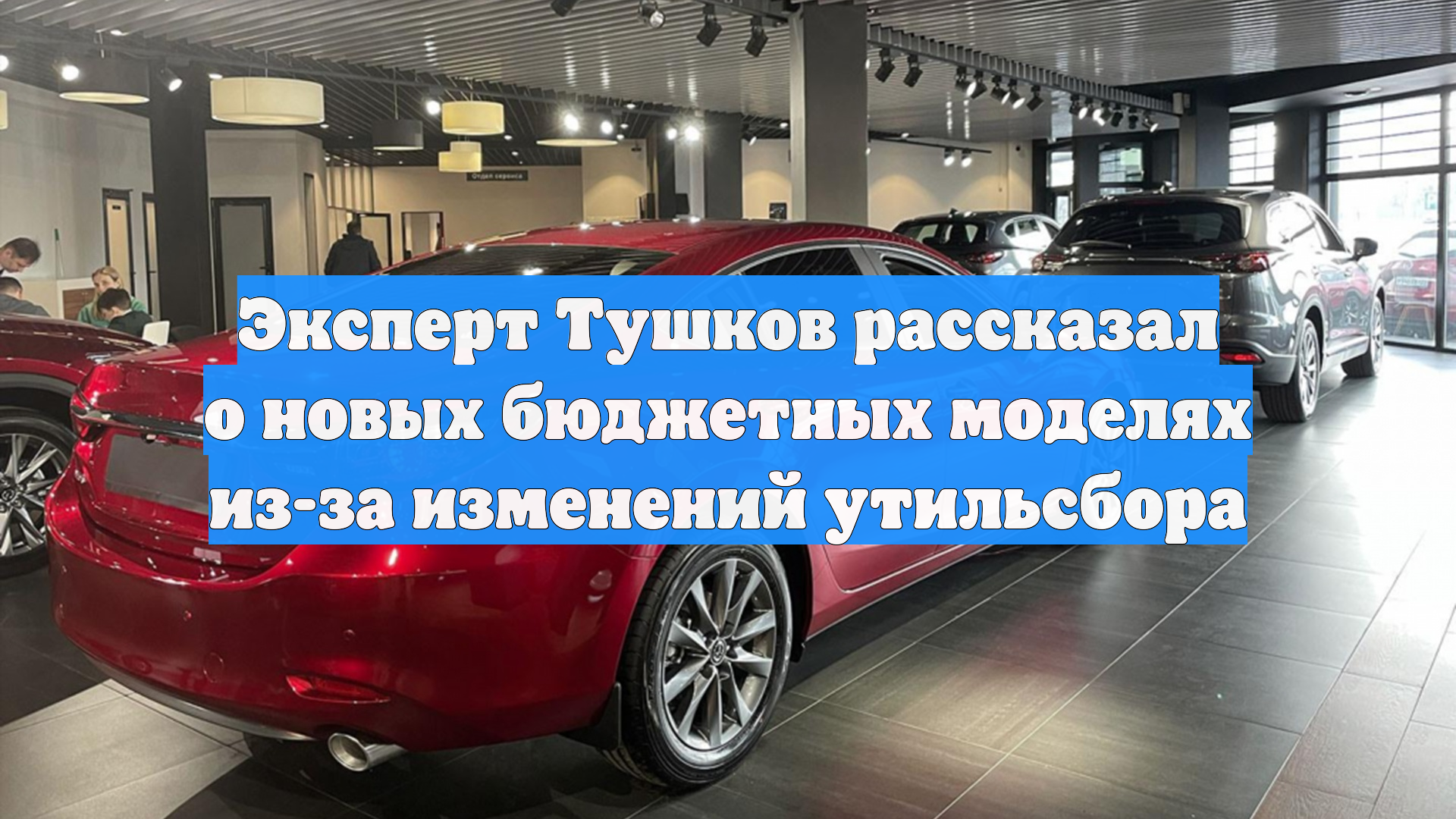 Эксперт Тушков рассказал о новых бюджетных моделях из-за изменений утильсбора