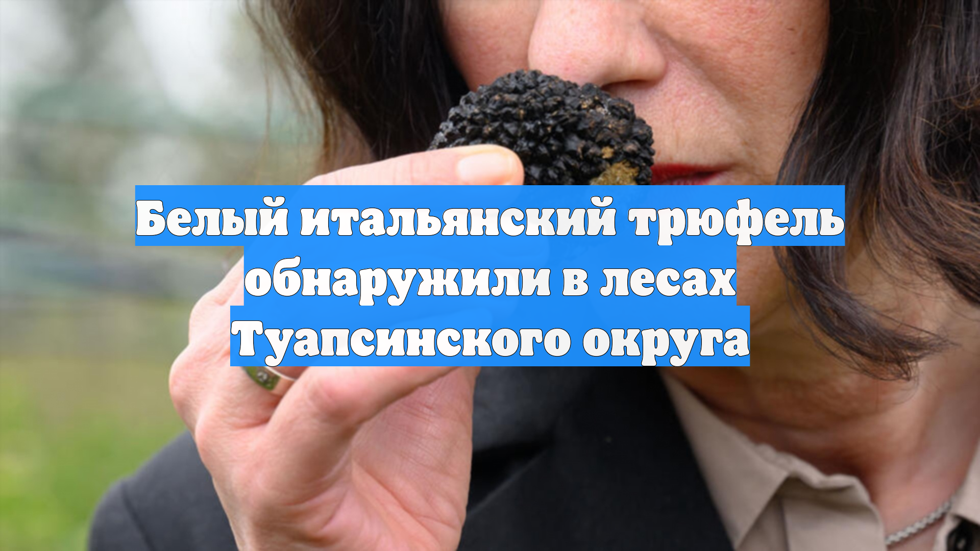 Белый итальянский трюфель обнаружили в лесах Туапсинского округа