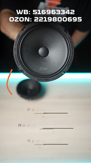 Громкая эстрадная акустика AMP MASS FR65P100 / Покупай здесь: WB: 516963342 ; OZON: 2219800695 смотреть онлайн