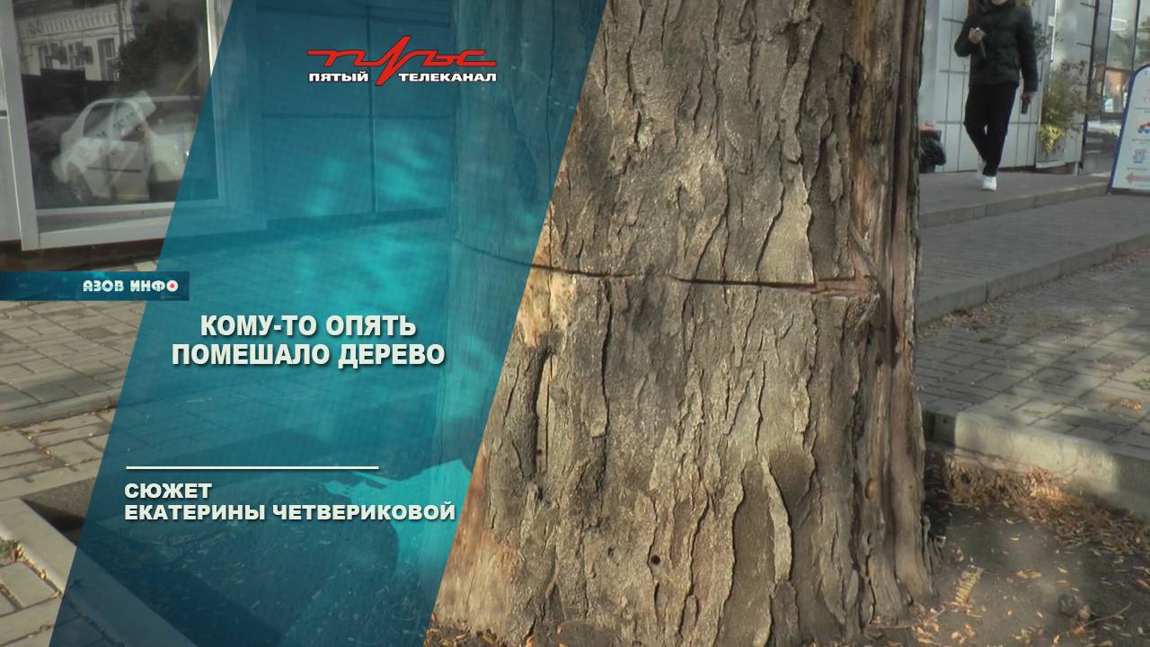 Кому-то опять помешало дерево