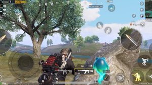 Эрангель день 15