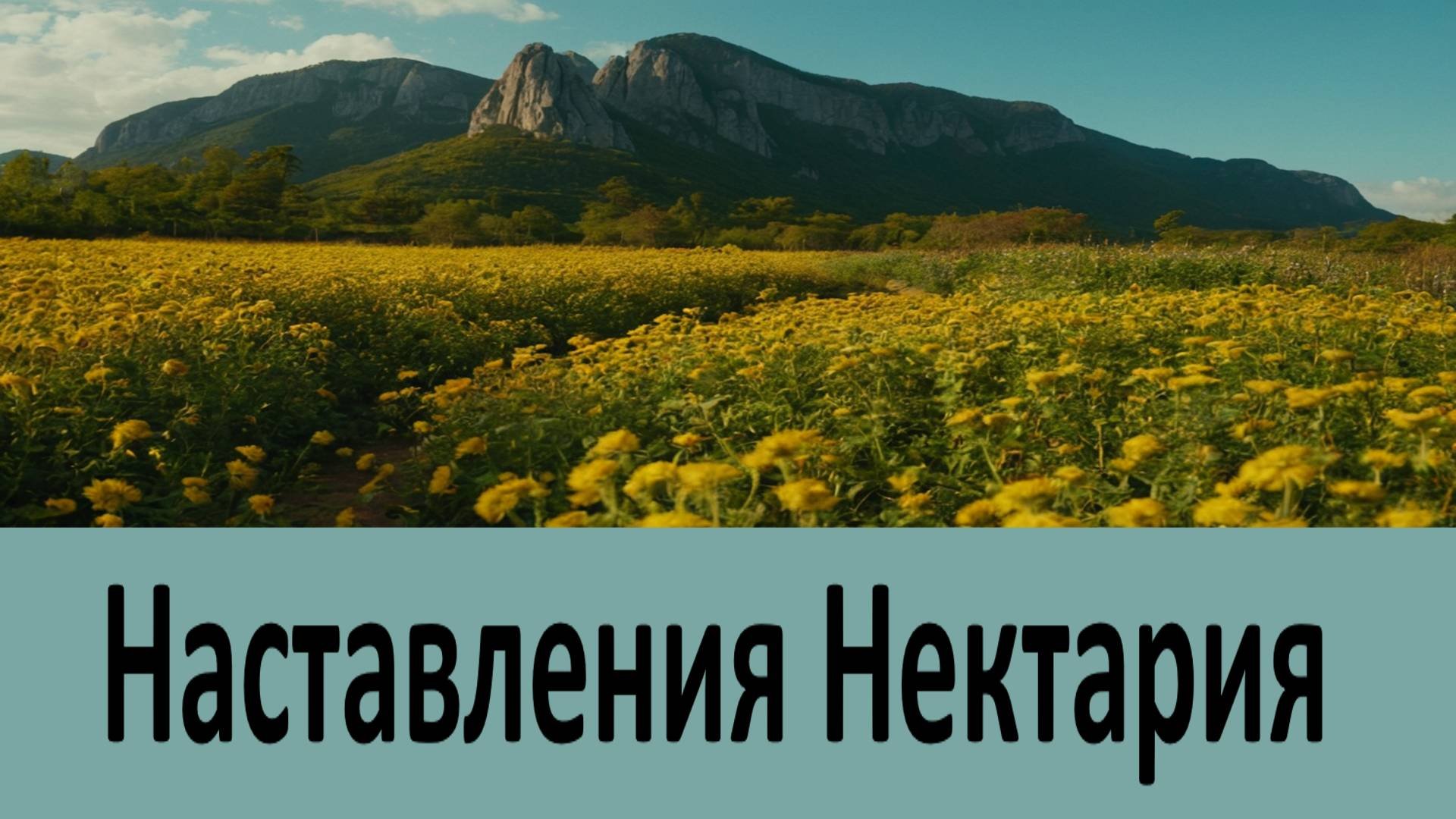 Наставления Старца Нектария Оптинского