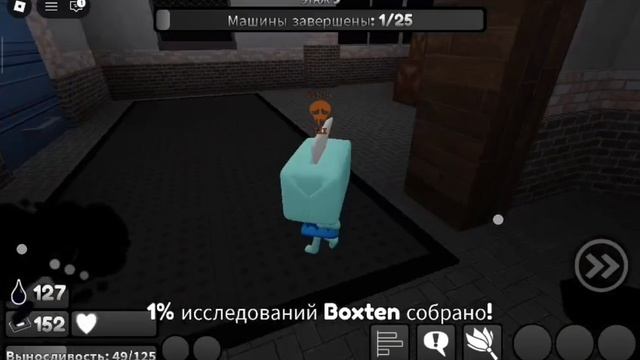 мир дэнди