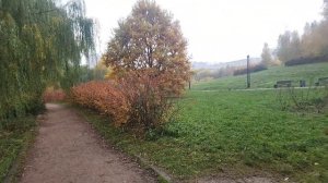 В ПАРКЕ ЗОЛОТАЯ ОСЕНЬ 10-10-2025